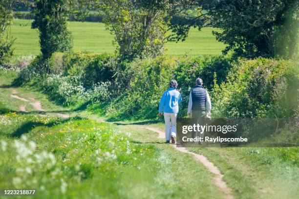 mature couple take their daily exercise along a country track near cirencester, gloucestershire, the cotswolds, uk. shot at a low angle with a foreground of bokeh green undergrowth. - cirencester stock pictures, royalty-free photos & images