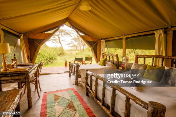 interior of a cozy tent accommodation, maasai mara national reserve, kenya - inside of tent stock pictures, royalty-free photos & images