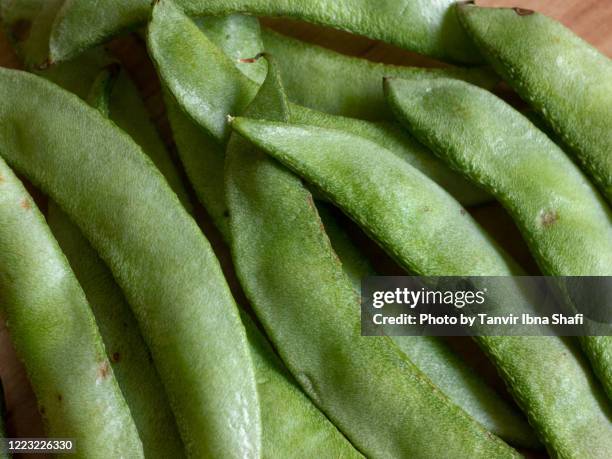 closeup  image of broad beans - seed head stock pictures, royalty-free photos & images