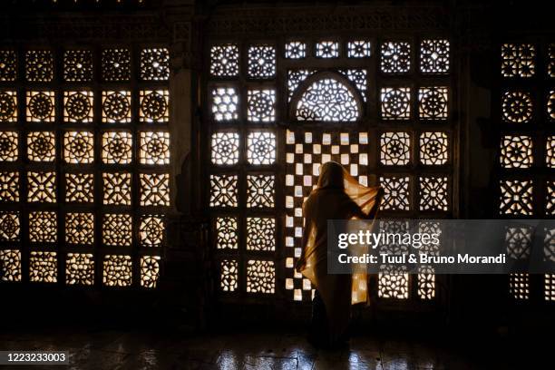 india, gujarat, ahmedabad, sarkhej roza tomb - ahmedabad imagens e fotografias de stock