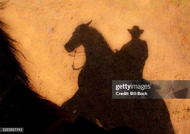 shadow of a horse and cowboy rider in the desert under a hot afternoon sun - horses mane showing - black horse stockfoto's en -beelden