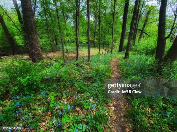Iowa Springtime 65 Iowa Wild Fields Stock Photos, High-Res Pictures, and Images - Getty ...