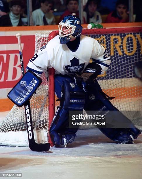 Felix Potvin of the Toronto Maple Leafs skates against the New York Islanders during NHL game action on January 26, 1994 at Maple Leaf Gardens in...