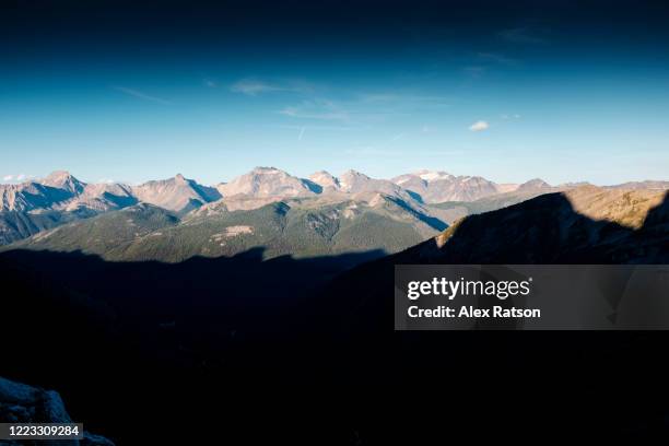 43 Percell Stock Photos, HighRes Pictures, and Images Getty Images