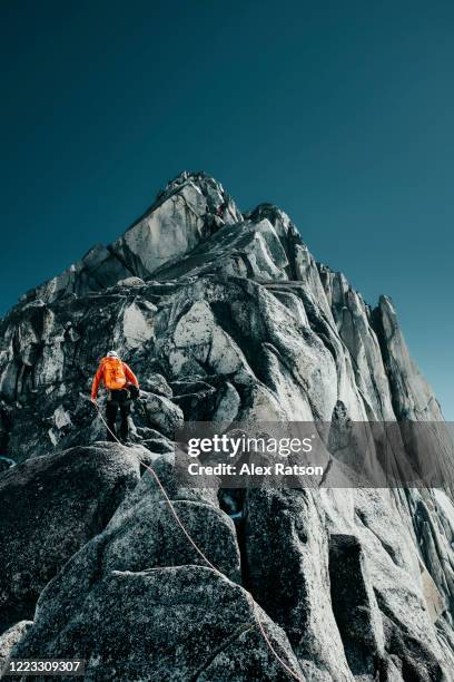 rock climber ascends west ridge of pigeon spire in bugaboo provincial park - bergsteiger gipfel stock-fotos und bilder