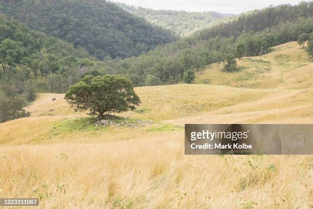 General view is seen of bushland beside a country dirt road between Nowendoc and Cooplacurripa on May 05, 2020 in Nowendoc, Australia. Recent rain...