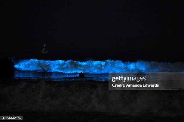 Revelers play in the bioluminescent waves crashing onto Venice Beach on May 06, 2020 in Venice, California. The coronavirus pandemic worldwide has...