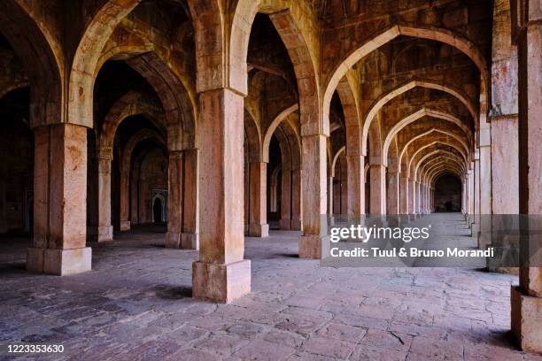 india, madhya pradesh state, mandu - madhya pradesh fort stock pictures, royalty-free photos & images