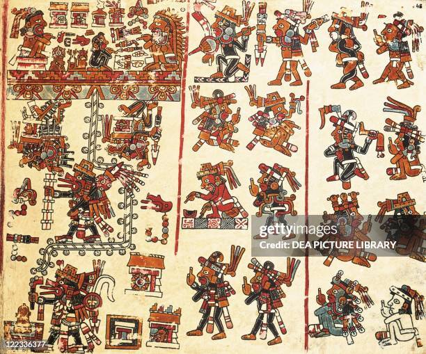 Codex Vienna Photos and Premium High Res Pictures - Getty Images