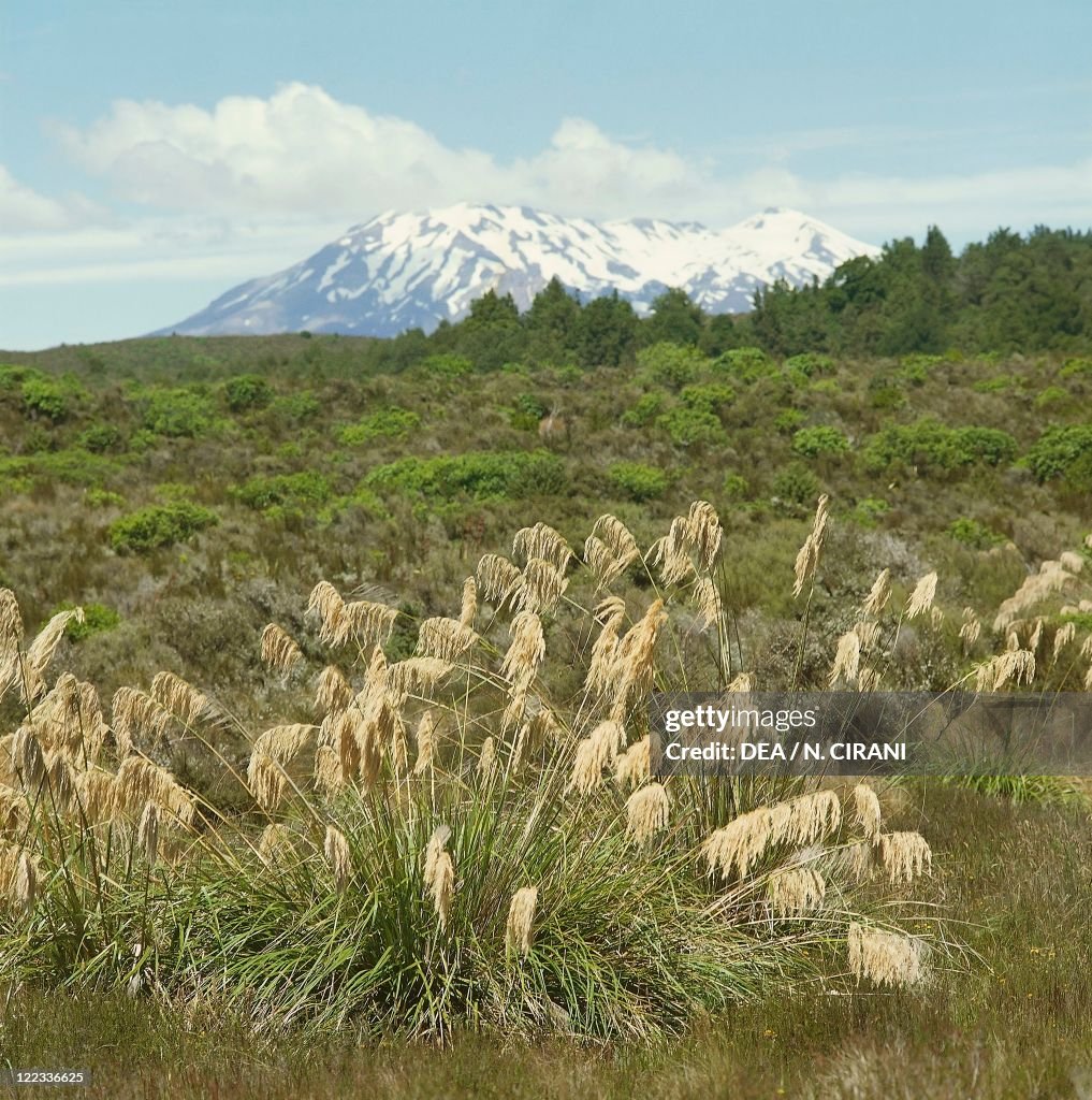 New Zealand, North Island, Tongariro National Park, Mount Ruapehu