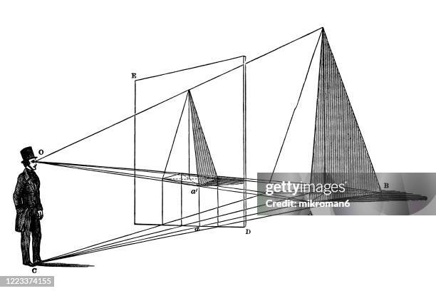 old engraved illustration of perspective - lens eye stock pictures, royalty-free photos & images