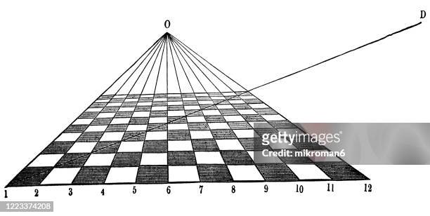 old engraved illustration of perspective - eyesight diagram stock pictures, royalty-free photos & images