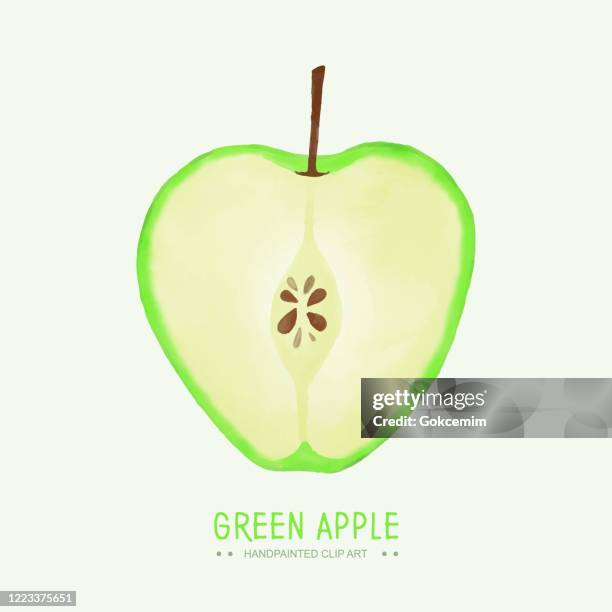 watercolor halved green apple isolated on white background. - apple compote stock illustrations
