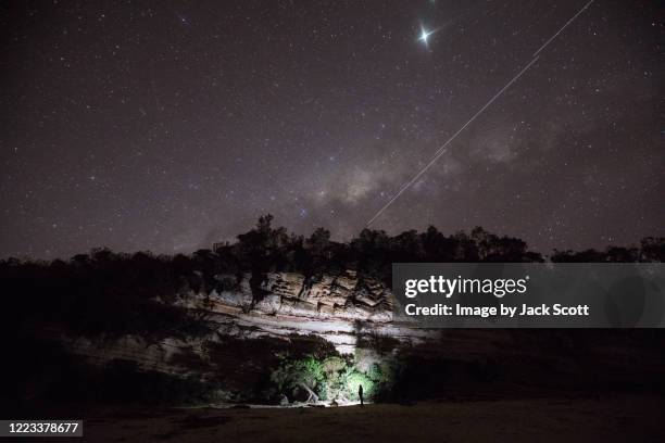 person observing night sky - meteor shower stock pictures, royalty-free photos & images