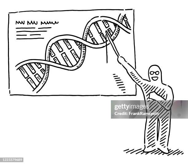 Genescience Drawing 116 Double Helix Gene Dna Drawing Stock Photos, High-Res Pictures, and ...