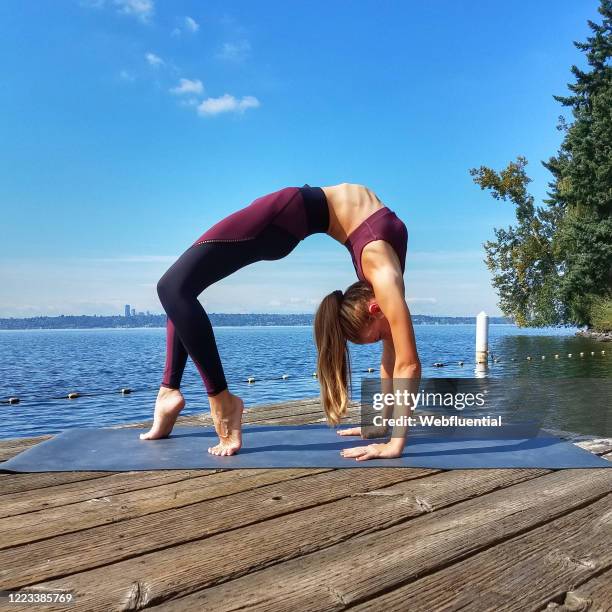 women in self isolation doing yoga - webfluential bildbanksfoton och bilder