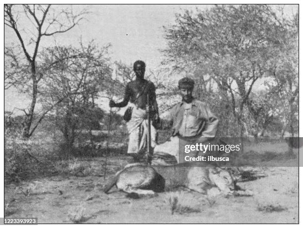 antique black and white photograph of sport, athletes and leisure activities in the 19th century: big game hunting in africa, hunters and lioness - lion hunting stock illustrations