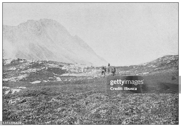 antique black and white photograph of sport, athletes and leisure activities in the 19th century: bighorn hunting in canada, rocky mountains - jasper-national-park stock illustrations