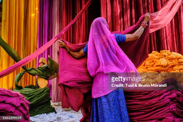 india, rajasthan, sari factory - rajasthani women stock-fotos und bilder