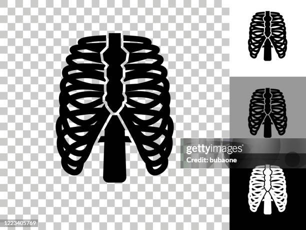 bildbanksillustrationer, clip art samt tecknat material och ikoner med ikon för mänskliga revben på checkerboard transparent bakgrund - rib cage