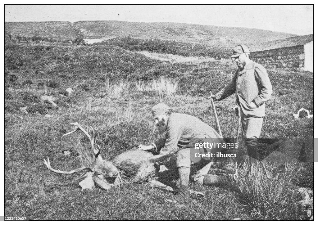 Antique black and white photograph of sport, athletes and leisure activities in the 19th century: Deer hunting