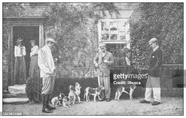 antique black and white photograph of sport, athletes and leisure activities in the 19th century: beagling, rabbit and hare hunting - beagle stock illustrations