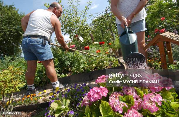 Chantal et Amar soignent leurs fleurs le 06 août 2004 dans leur jardin familial au Calvaire-St.-Pierre à Caen. Les jardins familiaux ont été créés...