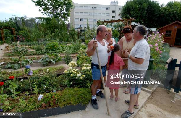 Chantal et Amar s'entretient avec des voisins le 06 août 2004 dans leur jardin familial au Calvaire-St.-Pierre à Caen. Les jardins familiaux ont été...