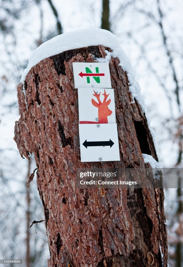 Sign on tree trunk
