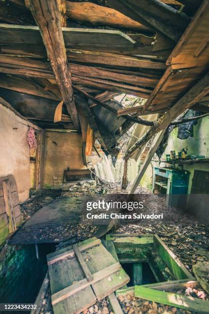 abandoned house in zalissja village - chernobyl stock-fotos und bilder