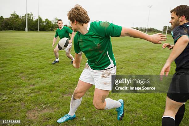 rugby game in action - irish rugby bildbanksfoton och bilder