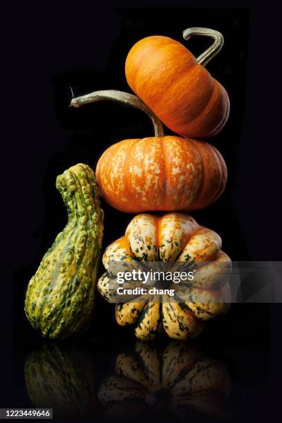 pumpkins - squash vegetable stock pictures, royalty-free photos & images