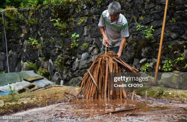 Bai Jianyou, a villager, once soaked the bamboo for the second time and then fished it up for rolling treatment. Before that, he used to use stone,...