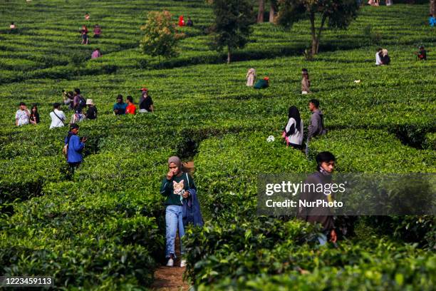 Indonesian people seen enjoy at a tea plantation tourism in Puncak, Bogor, West Java, Indonesia, June 28, 2020. After the Indonesian government...