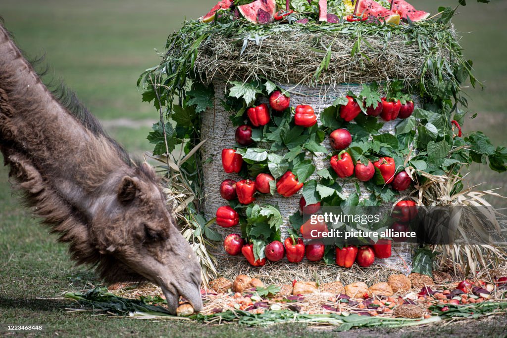 Tierpark Berlin turns 65...