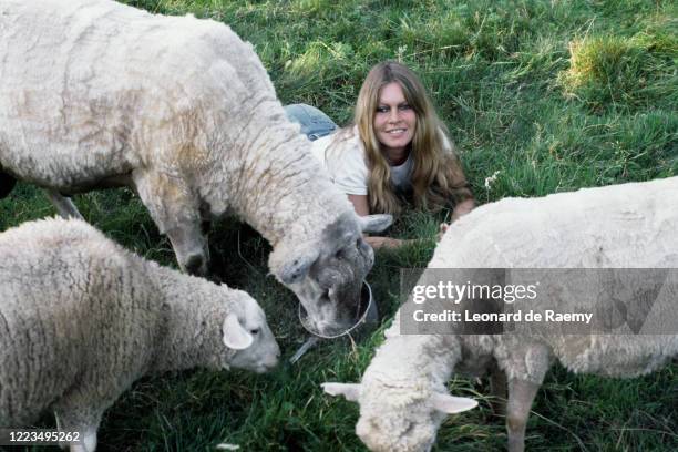 French actress, singer and animal rights activist Brigitte Bardot at her home in Bazoches sur Guyonne. Location: Bazoches-sur-Guyonne, France.