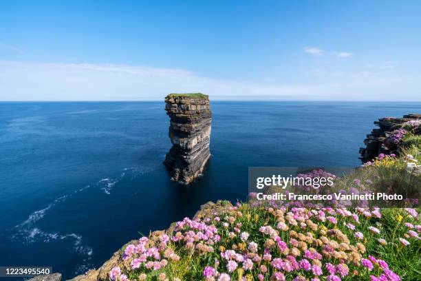 downpatrick head, ireland. - county down ireland stock pictures, royalty-free photos & images