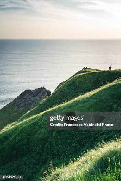 cliffs of moher, ireland. - cliffs of moher stockfoto's en -beelden