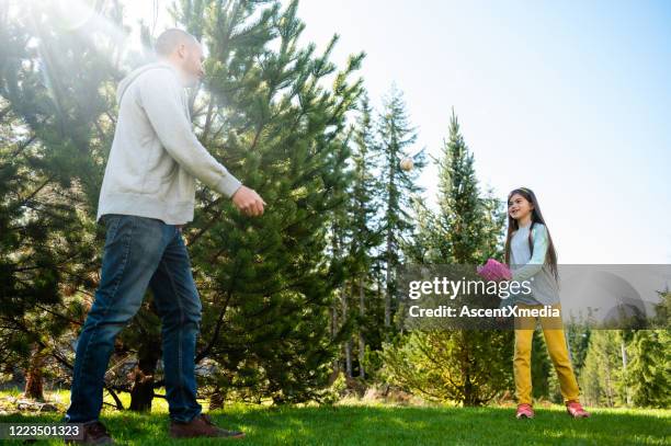 familie die buiten in hun binnenplaats speelt - backyard baseball stockfoto's en -beelden