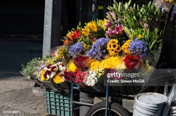 selection of flowers for sale on a street vendor's mobile cart in mexico city, mexico - mexico city street vendors stock pictures, royalty-free photos & images
