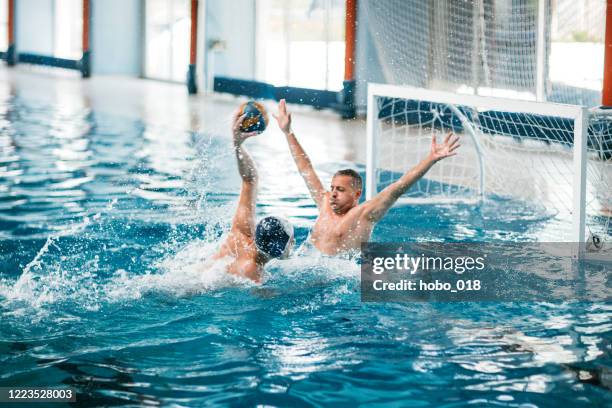 water polo practicing at swimming pool - water polo cap stock pictures, royalty-free photos & images