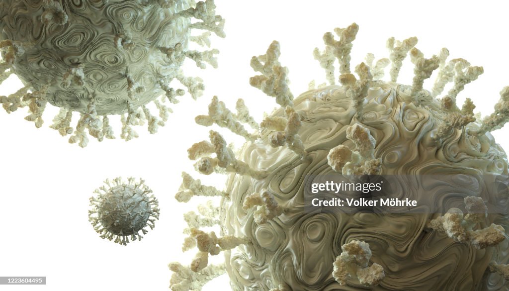 Detailed Simulation of COVID-19 Virus