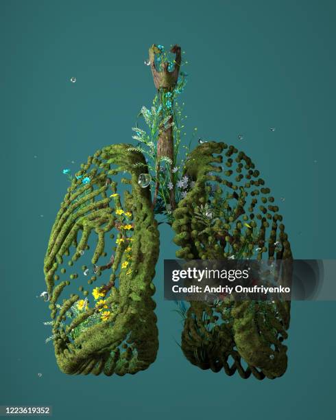 green lungs - survival concept stock pictures, royalty-free photos & images