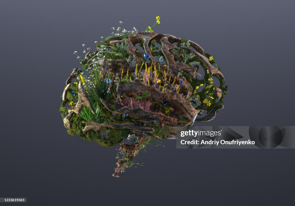 Green Python Brain Green Brain Foto de stock - Getty Images