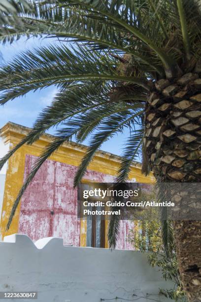 detail of house at ficogrande, stromboli, isole eolie, sicily - isole eolie 個照片及圖片檔