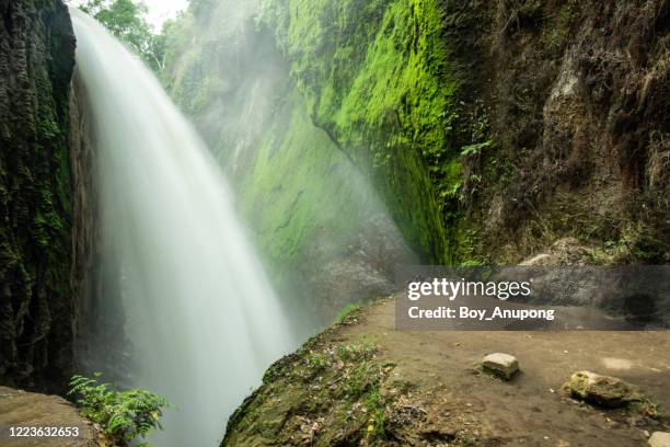 17,024 Bluff Nature Reserve Stock Photos, High-Res Pictures, and Images ...