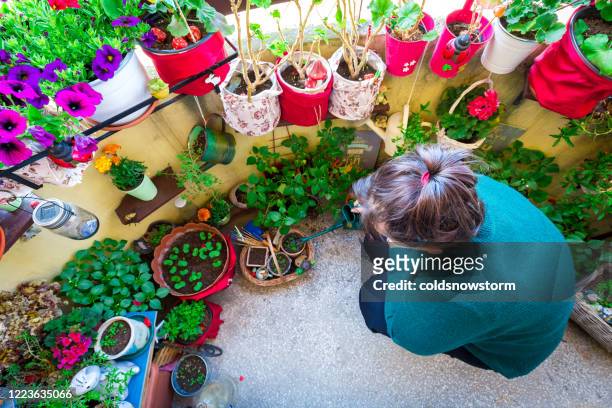 vrouw die installaties en bloemen in balkontuin water geeft - balcony garden stockfoto's en -beelden