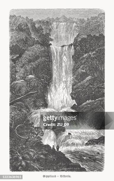 waterfall in the gippsland, victoria, australia, wood engraving, published 1893 - travel australia stock illustrations