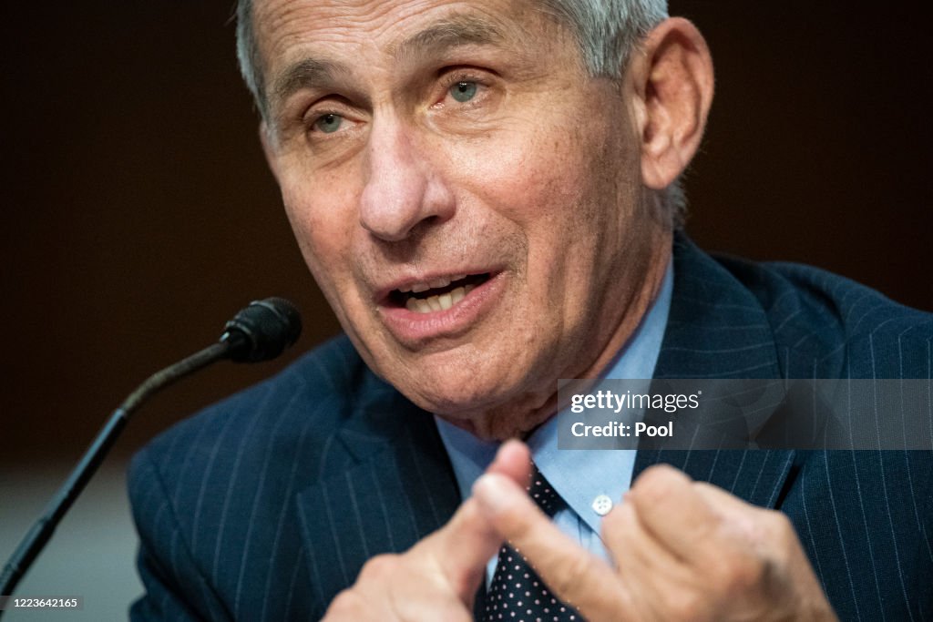 Senate Help Committee Holds Hearing On Safely Going Back To Work And School During Pandemic