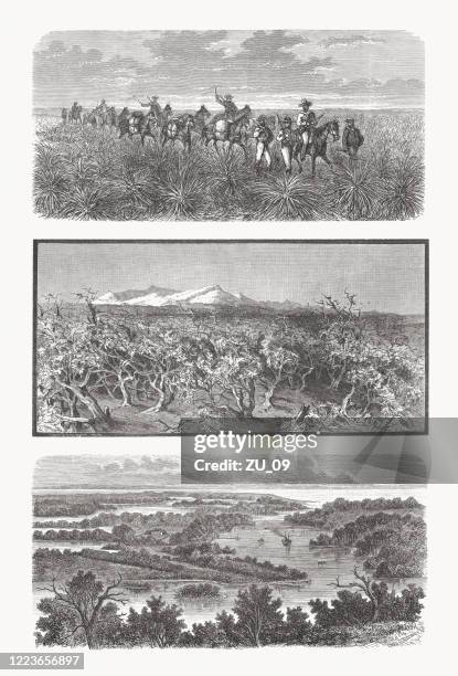 impressions from australia, wood engravings, published in 1893 - aerial desert stock illustrations